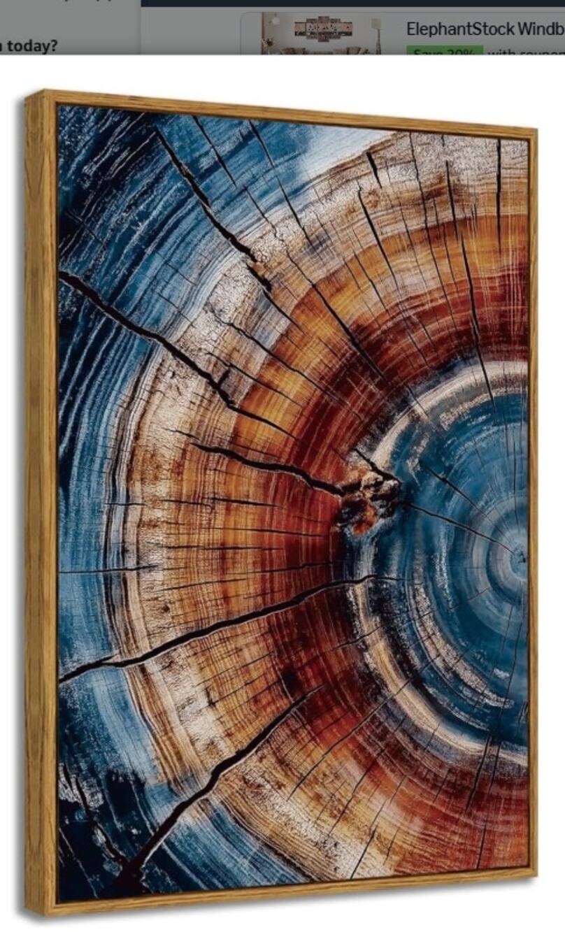 BingruiArt Framed Tree Ring Wall Art 16x24 Blue Red Boho New Open Box